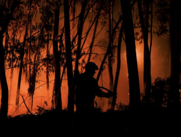 Devastadores incendios forestales no dan tregua a Europa: ola de calor se mantendrá en todo el Mediterráneo