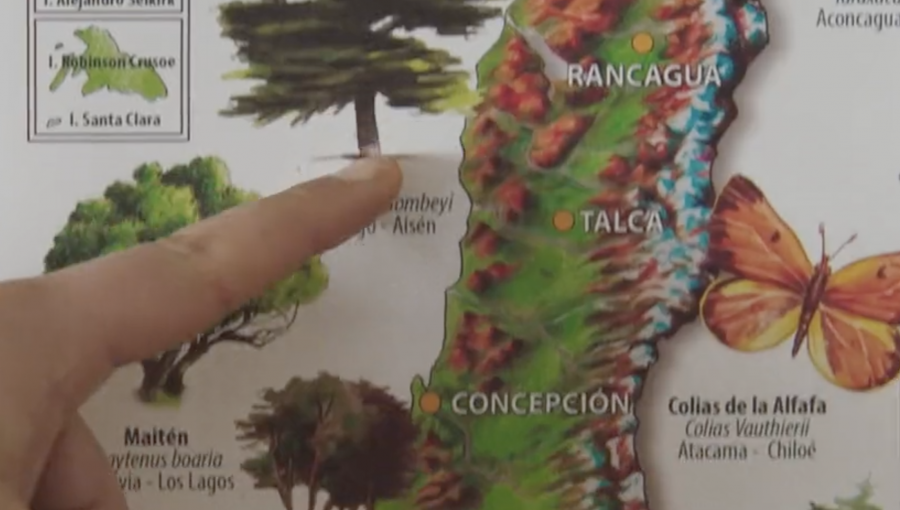 «Voto Informado»: Lanzan campaña que tendrá spots televisivos con miras al Plebiscito de salida del 4 de septiembre