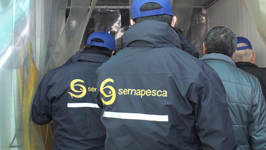Denuncian grave vulneración laboral en Sernapesca: dos trabajadores dormirían en sus automóviles y se bañarían en oficinas