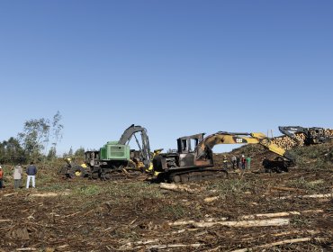 Ataque incendiario deja al menos cinco maquinarías agrícolas quemadas en fundo de Lautaro