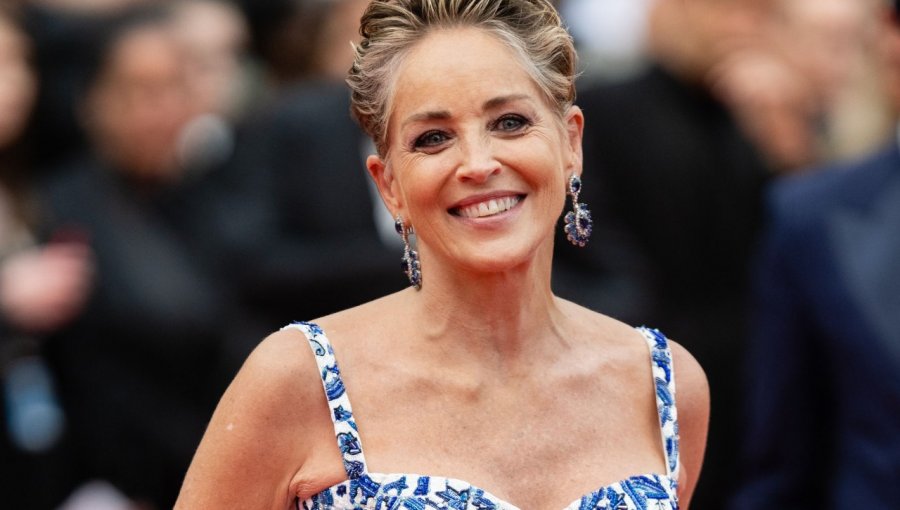 A los 64 años, Sharon Stone enciende las redes sociales con atrevida fotografía en topless