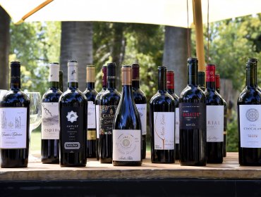 «Carmenère Al Mundo»: Especialistas nacionales e internacionales elegirán el mejor vino de Chile