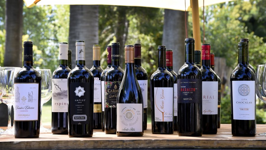 «Carmenère Al Mundo»: Especialistas nacionales e internacionales elegirán el mejor vino de Chile