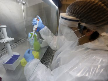 Confirman 55 casos de viruela del mono en Chile: contagiados son hombres entre los 20 y 54 años