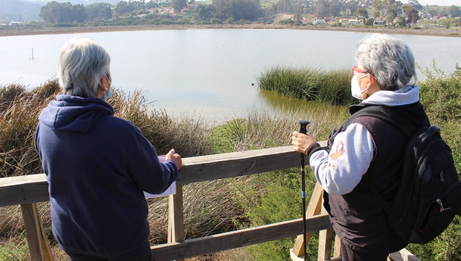 El Tabo: Santuario Laguna El Peral celebra 47 años con notoria recuperación de su cuerpo de agua