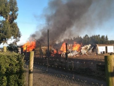 Dos viviendas y un vehículo fueron destruidos tras ataque incendiario de la Resistencia Mapuche Lafkenche en Cañete