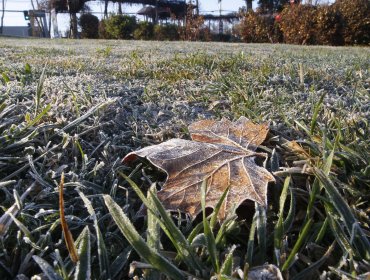 Heladas de hasta 3 grados bajo cero llegarán tras la lluvia de este fin de semana en al menos seis regiones del país