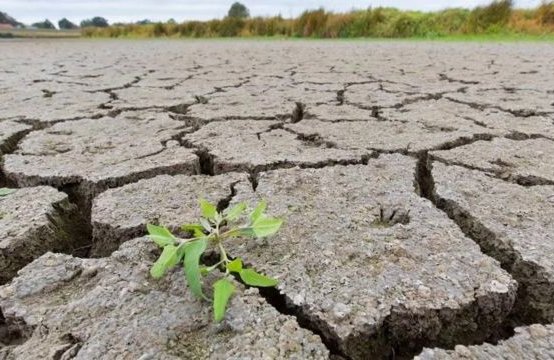 Por qué las copiosas lluvias después de las sequías pueden ser tan peligrosas