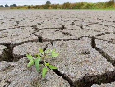 Por qué las copiosas lluvias después de las sequías pueden ser tan peligrosas