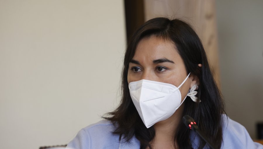 Ministra Siches afirma que declaraciones de Llaitul sobre robo de madera "no son informaciones nuevas"