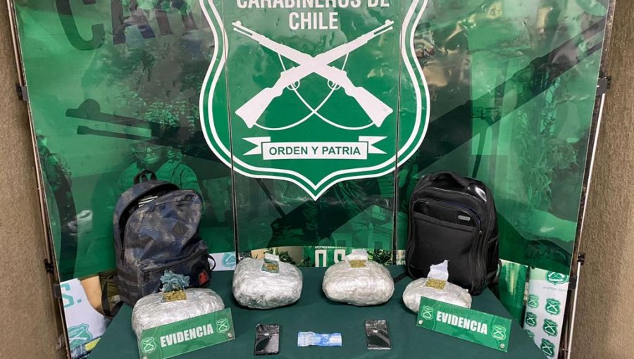 En control realizado en Nogales detectan a pasajero de bus interregional que transportaba más de 3,5 kilos de marihuana