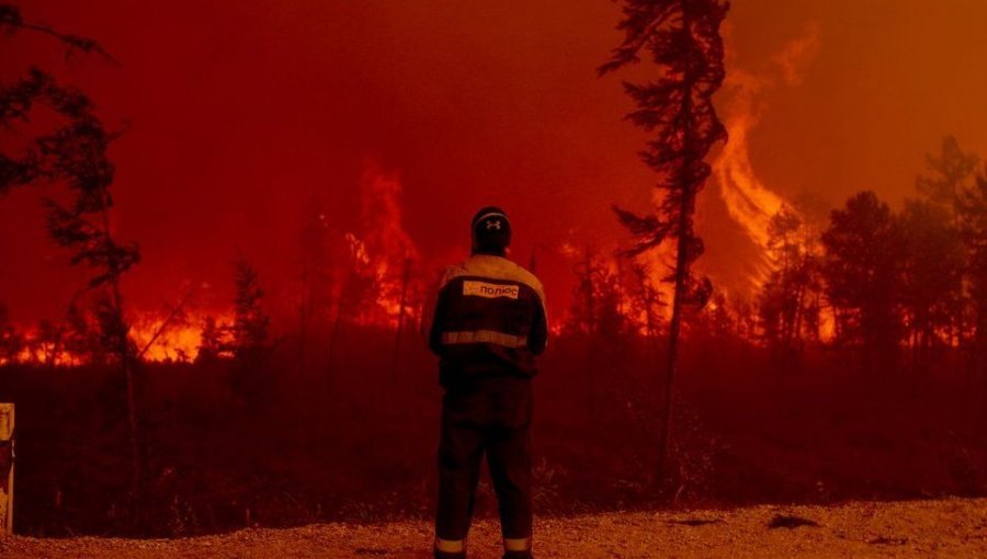 "Como 16 canchas de fútbol por minuto": La impactante cantidad de árboles calcinados en incendios en un solo año
