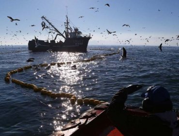 Gobierno decide otorgar suma urgencia al proyecto que declara la nulidad de la Ley de Pesca