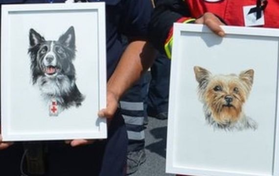 La histórica condena de 10 años de prisión para un hombre que mató a dos perros rescatistas en México