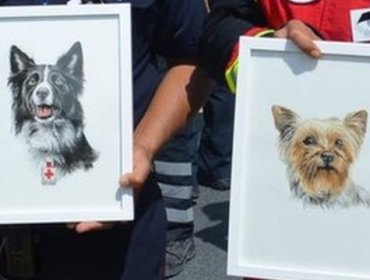 La histórica condena de 10 años de prisión para un hombre que mató a dos perros rescatistas en México