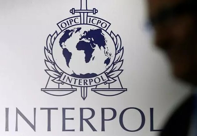 Subdirector de Redes Criminales de Interpol afirma que Chile "tiene relativamente una seguridad mayor que otros países"