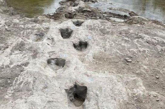 El asombroso hallazgo de las huellas de un dinosaurio que quedaron expuestas por la sequía en Estados Unidos