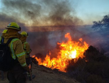 Conaf abrió nuevo proceso de postulación a brigadas de combate de incendios forestales en la región de Valparaíso