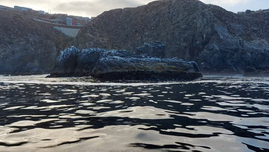 Coliformes fecales sobre la norma en la bahía de Valparaíso: Parlamentarios piden abordar y solucionar el tema de manera multisectorial