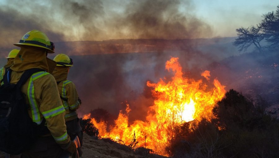 Conaf abrió nuevo proceso de postulación a brigadas de combate de incendios forestales en la región de Valparaíso