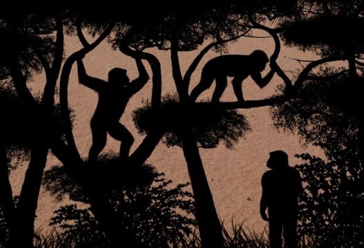 Nuevo estudio revela que nuestro antepasado más antiguo caminaba erguido hace 7 millones de años
