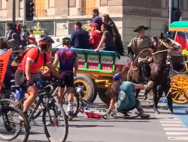 Carabineros asegura que detuvieron al hombre que conducía la carreta que atropelló a ciclistas por el «Apruebo» en Santiago