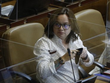 "Realmente estaba fuera de sí": Diputada Riquelme relató la agresión de Gonzalo de la Carrera a vicepresidente de la Cámara