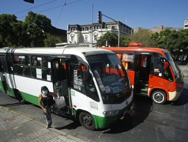 Microbuseros del Gran Valparaíso desafían al Gobierno: "No habrá transporte gratuito en servicios urbanos y algunos rurales"