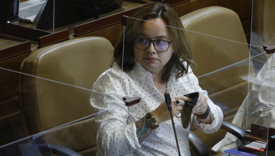 "Realmente estaba fuera de sí": Diputada Riquelme relató la agresión de Gonzalo de la Carrera a vicepresidente de la Cámara