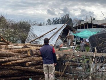 Tren descarrila y carga de madera cae sobre bodega de una vivienda en Gorbea: no se registraron lesionados