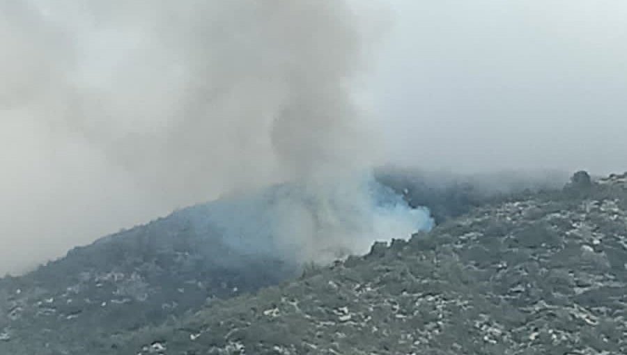 Ordenan la evacuación del sector El Orégano de Llano Caleu por incendio forestal cercano a sectores habitados en Tiltil