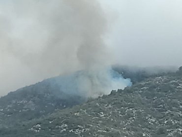 Ordenan la evacuación del sector El Orégano de Llano Caleu por incendio forestal cercano a sectores habitados en Tiltil