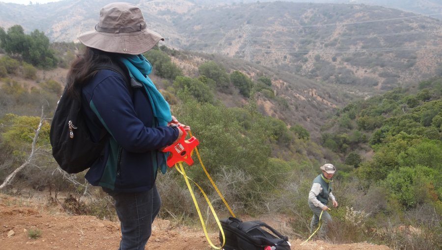 Conaf Valparaíso difunde pauta para ejecutar planes de manejo de obras civiles en bosque nativo