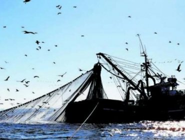 Comisión del Senado aprueba en general el proyecto que declara la nulidad de la Ley de Pesca