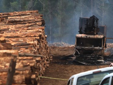 Gobierno asegura "no ser un ente persecutor" tras declaraciones de Corma sobre robo de madera