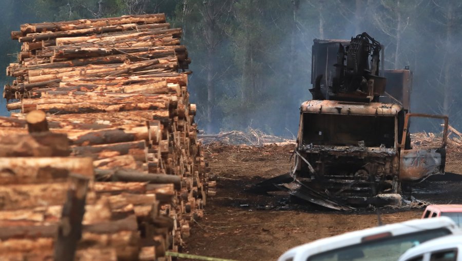 Gobierno asegura "no ser un ente persecutor" tras declaraciones de Corma sobre robo de madera
