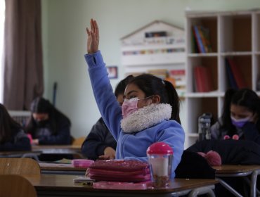 Ministerio de Educación aclara que apoderados deberán definir si alumnos usan o no mascarilla en salas de clases