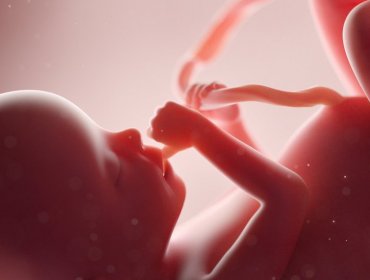Estudio revela que los fetos "sonríen" cuando sus mamás comen zanahorias y "fruncen el ceño" cuando comen kale