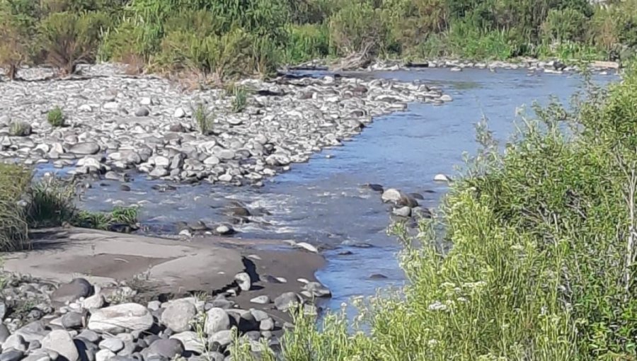 Grave denuncia contra la Superintendencia del Medio Ambiente: la acusan de no fiscalizar a Anglo American, afectando a usuarios del río Aconcagua