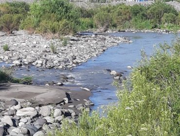 Grave denuncia contra la Superintendencia del Medio Ambiente: la acusan de no fiscalizar a Anglo American, afectando a usuarios del río Aconcagua