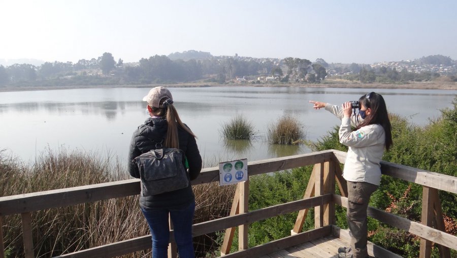 Lago Peñuelas recupera parte de su espejo de agua tras incremento de lluvias en Valparaíso: ¿Es realmente tan "milagroso" como se dice?