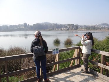 Lago Peñuelas recupera parte de su espejo de agua tras incremento de lluvias en Valparaíso: ¿Es realmente tan "milagroso" como se dice?