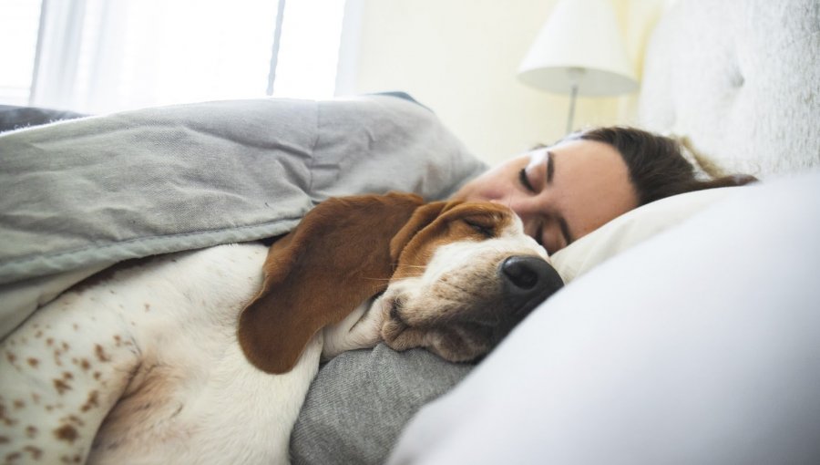 ¿Duermes con tu mascota? Estudio revela que podría ser beneficioso para un buen descanso