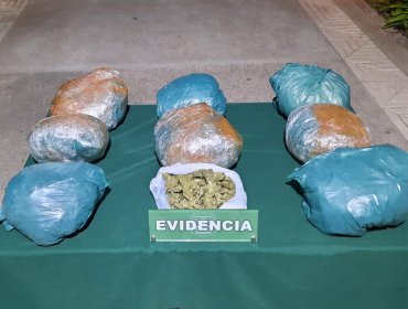 Más de 10 kilos de droga fueron incautados en controles carreteros desarrollados en el Valle del Aconcagua