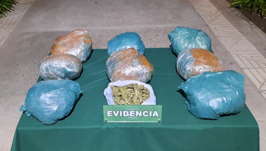 Más de 10 kilos de droga fueron incautados en controles carreteros desarrollados en el Valle del Aconcagua