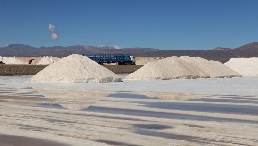 Chile se posiciona como el mayor proveedor mundial de 26 productos