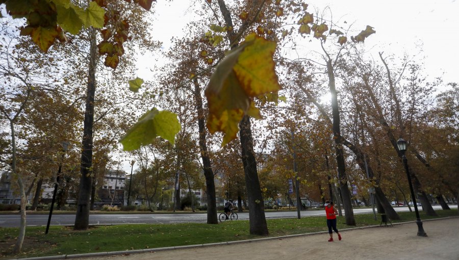 Dos hombres se encuentran en estado grave tras ser apuñalados por tres delincuentes en el Parque Forestal