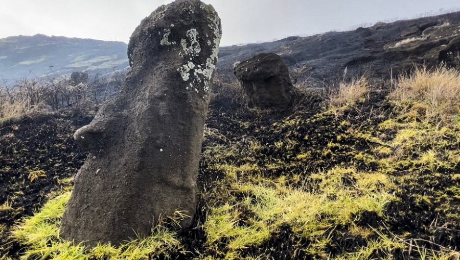 Alcalde de Rapa Nui afirma que el 20% de los moai de la cantera Rano Raraku presentan daño "irrecuperable" tras incendio