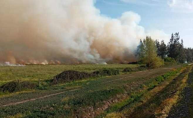 Incendio forestal en Panquehue ha consumido 7,1 hectáreas: se mantiene la Alerta Amarilla para la comuna