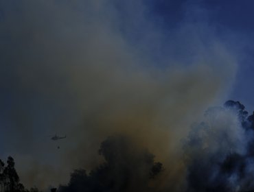 Declaran Alerta Roja para la comuna de Vallenar por incendio forestal cercano a sectores habitados